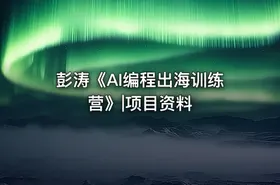 彭涛《AI编程出海训练营》|项目资料 - getfromcode