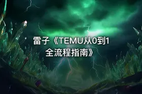 雷子《TEMU从0到1全流程指南》