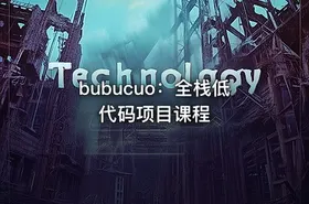 bubucuo：全栈低代码项目课程