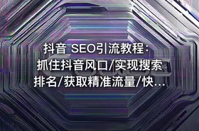 抖音 SEO引流教程：抓住抖音风口/实现搜索排名/获取精准流量/快速成交变现