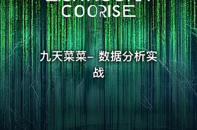 九天菜菜- 数据分析实战