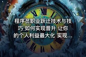 程序员职业跃迁技术与技巧 如何实现晋升 让你的个人利益最大化 实现职业发展跃迁