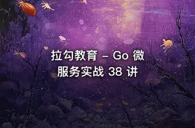 拉勾教育 - Go 微服务实战 38 讲 - getfromcode