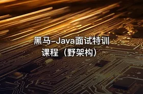 黑马-Java面试特训课程（野架构）