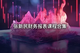 张新民财务报表课程合集