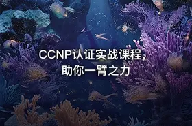 CCNP认证实战课程，助你一臂之力 - getfromcode