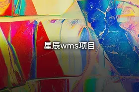 星辰wms项目
