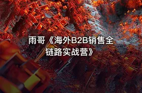 雨哥《海外B2B销售全链路实战营》