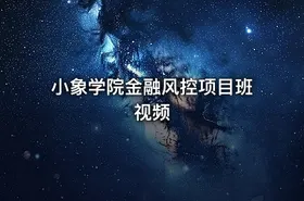 小象学院金融风控项目班视频 - getfromcode