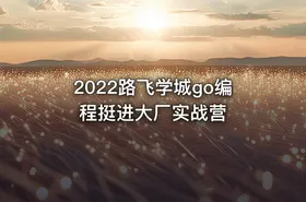 2022路飞学城go编程挺进大厂实战营
